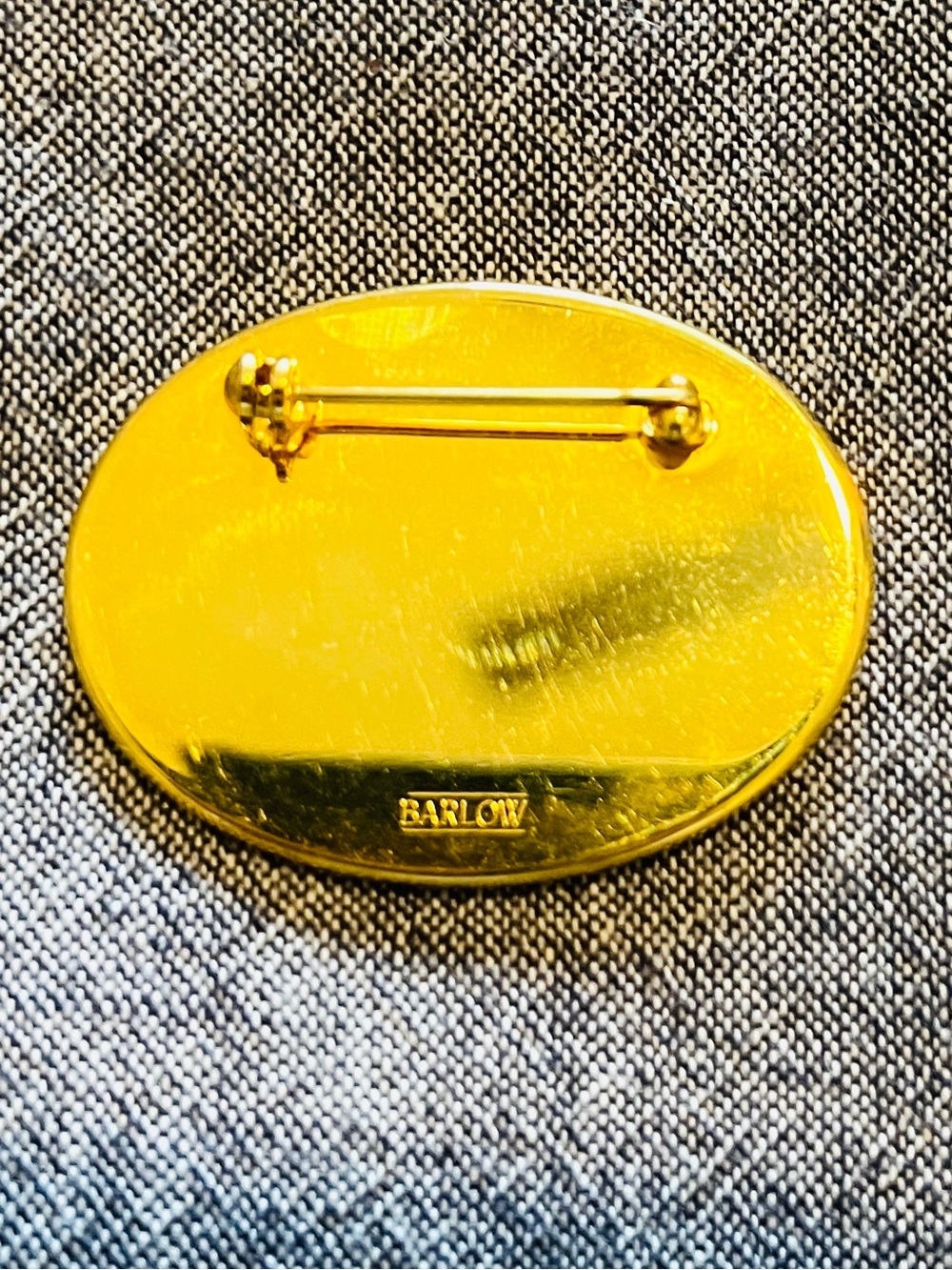 Barlow Gold Toned Oval Scrimshaw Loon Pin Brooch 1980s “Northern Song Loon” - Picture 2 of 4